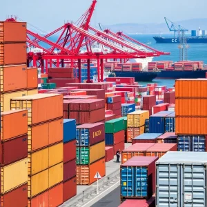 Container ships and stacked cargo containers at a port in Southern California.
