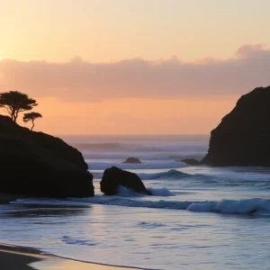 View of Torrey Pines State Beach with turbulent ocean waves